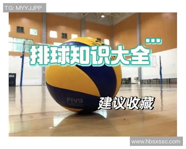 上海排球队的运营揭秘与深度分析探索排球运动的魅力与挑战